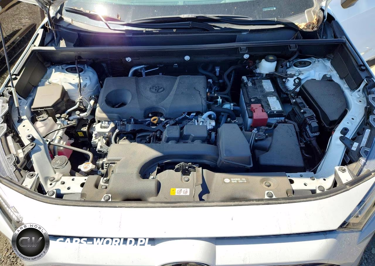 2025 Toyota Rav4 Xle VIN:2T3W1RFV8SW414642 - 12