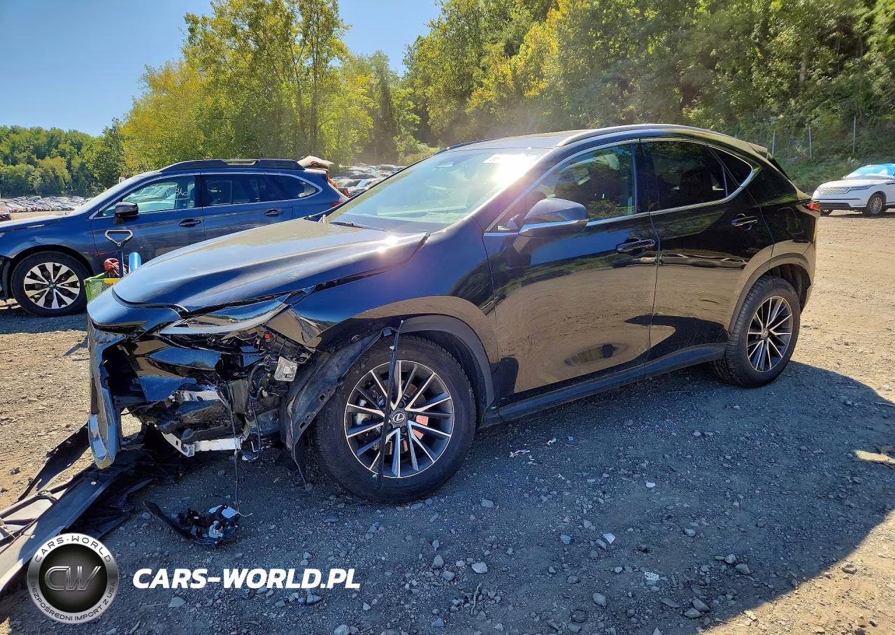 2024 Lexus Nx 350 Premium VIN:2T2GGCEZ2RC041781 - 1