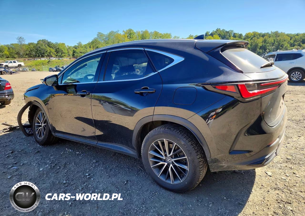 2024 Lexus Nx 350 Premium VIN:2T2GGCEZ2RC041781 - 2
