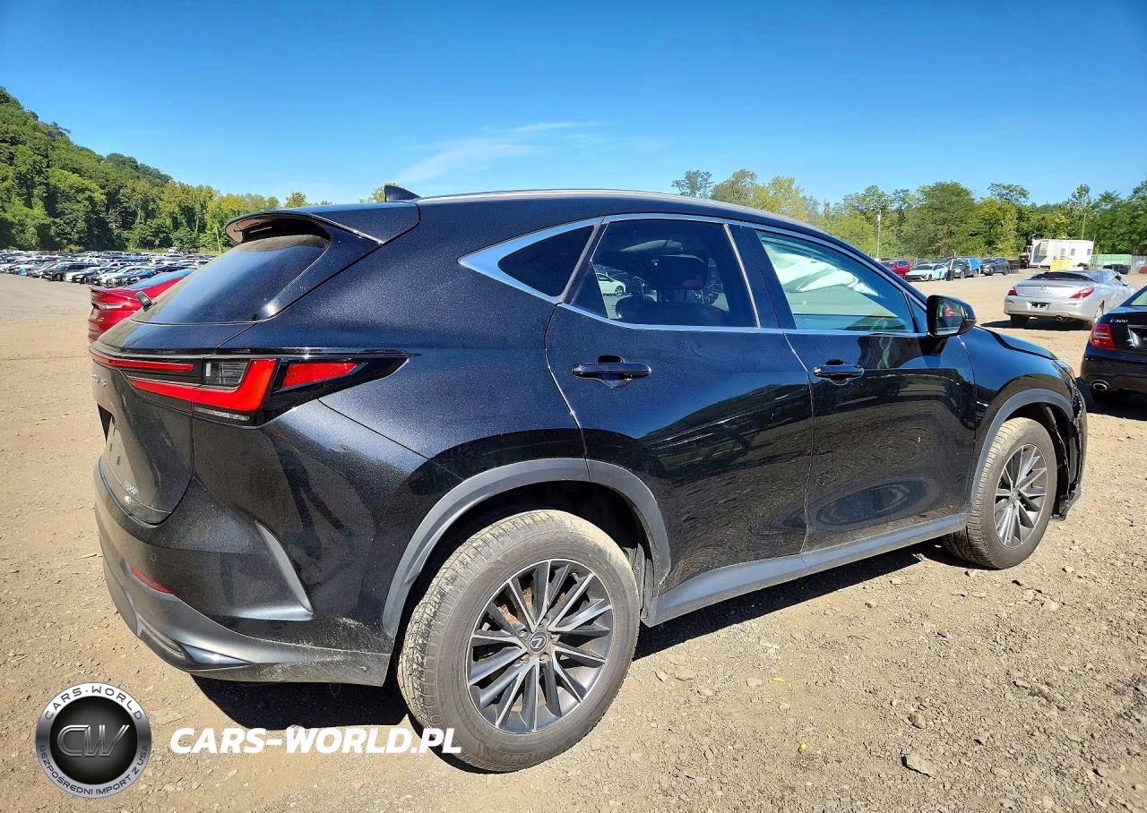 2024 Lexus Nx 350 Premium VIN:2T2GGCEZ2RC041781 - 3