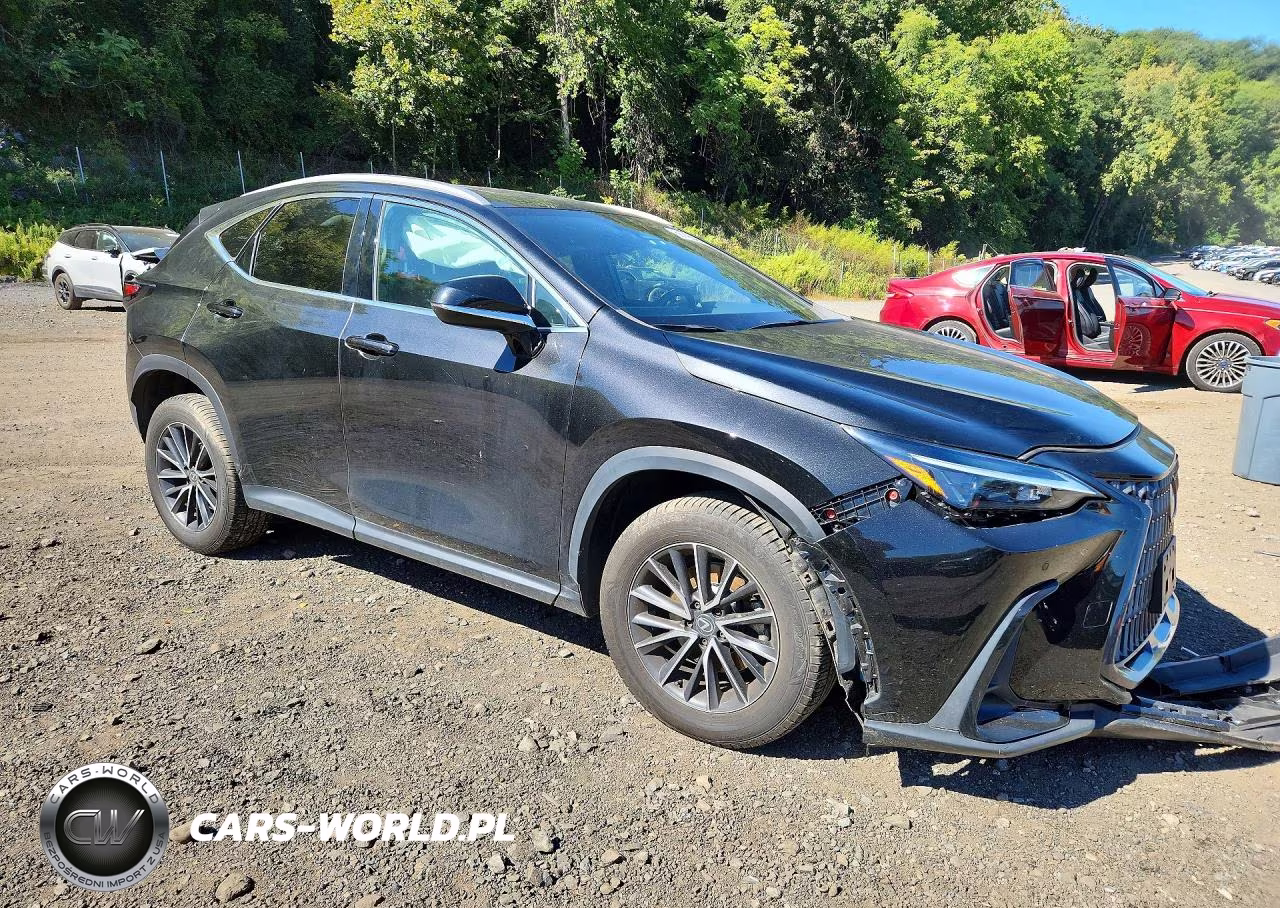 2024 Lexus Nx 350 Premium VIN:2T2GGCEZ2RC041781 - 4