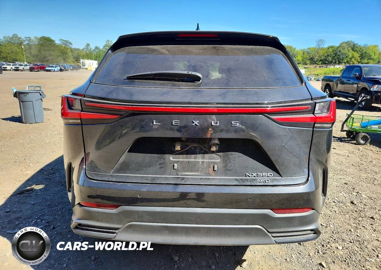 2024 Lexus Nx 350 Premium VIN:2T2GGCEZ2RC041781 - 6