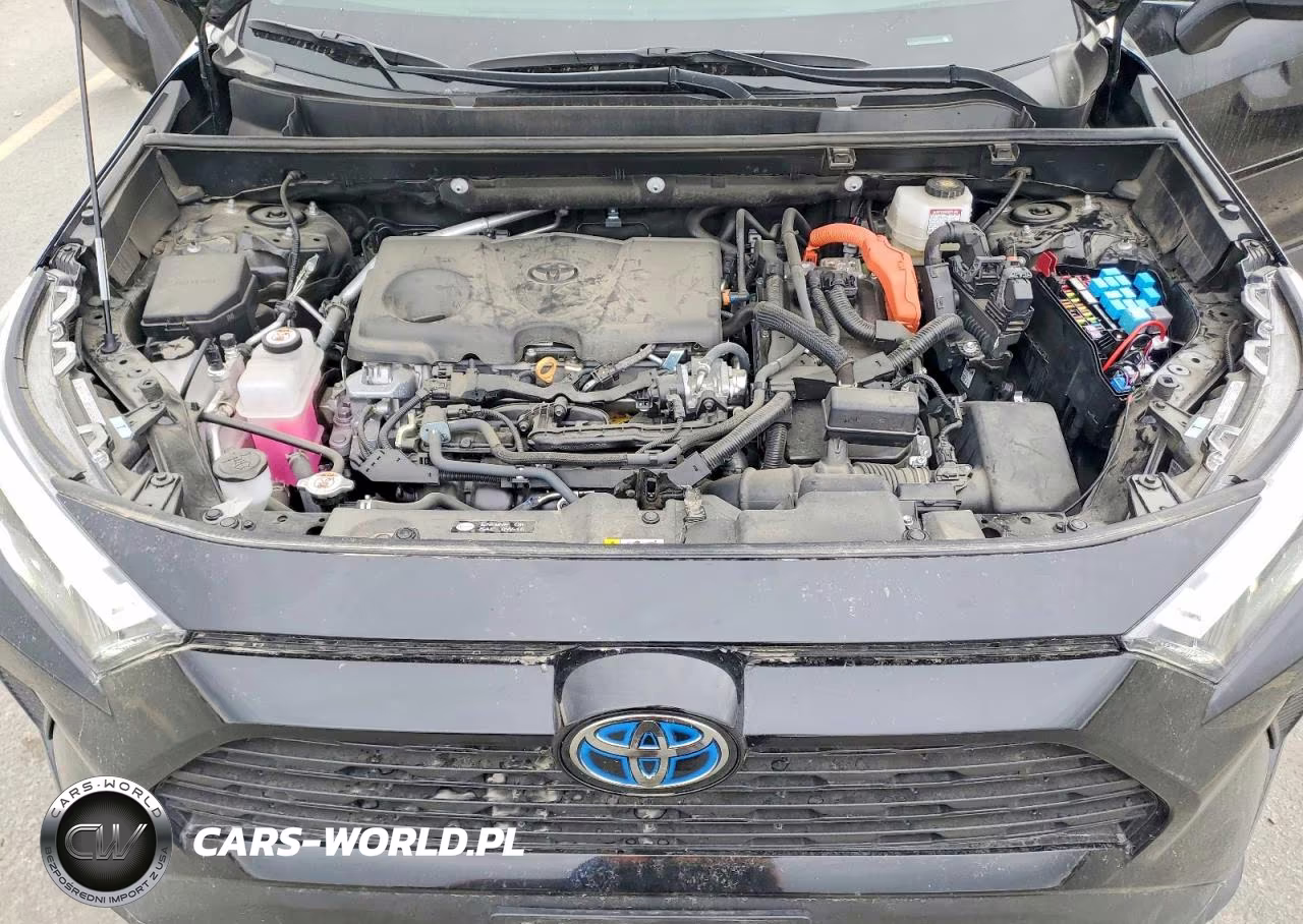 2024 Toyota Rav4 Hybrid Xle VIN:4T3RWRFV2RU131890 - 12