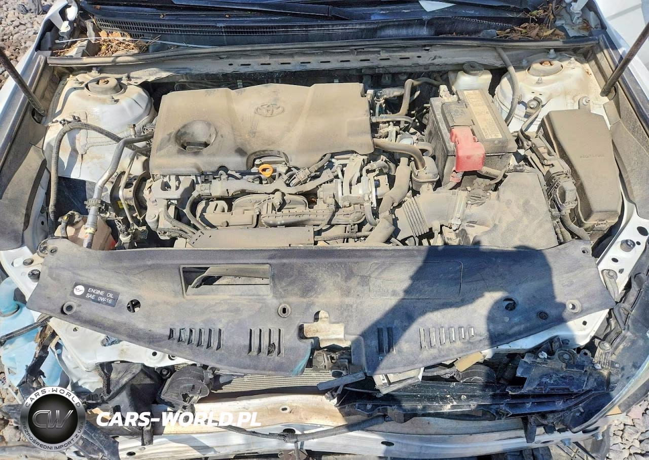 2019 Toyota Camry Xse VIN:4T1B61HK3KU252478 - 11