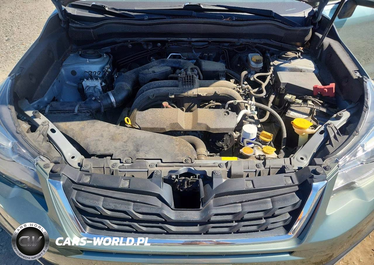 2017 Subaru Forester 2.5I Premium VIN:JF2SJAEC9HH806853 - 12