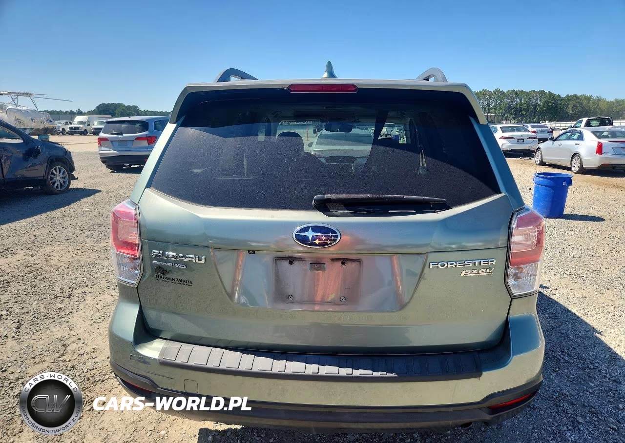 2017 Subaru Forester 2.5I Premium VIN:JF2SJAEC9HH806853 - 6