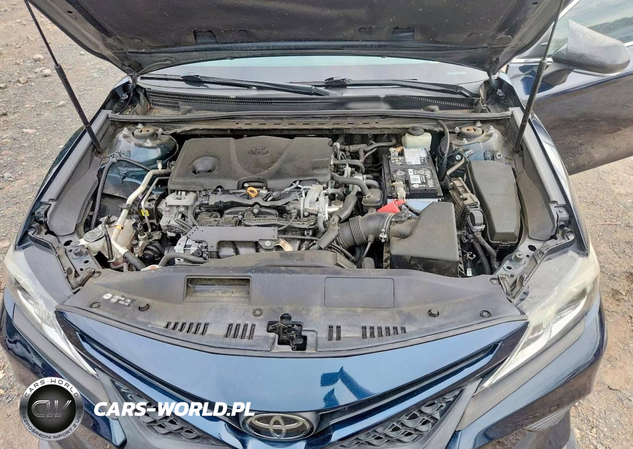 2019 Toyota Camry Se VIN:4T1B11HK1KU280276 - 11