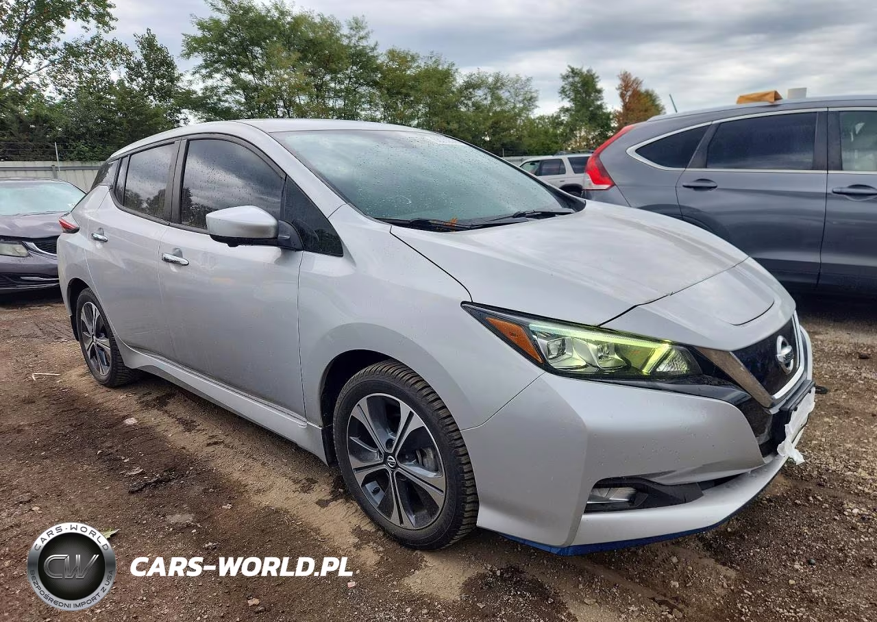 2020 Nissan Leaf Sv Plus VIN:1N4BZ1CP9LC307608 - 4