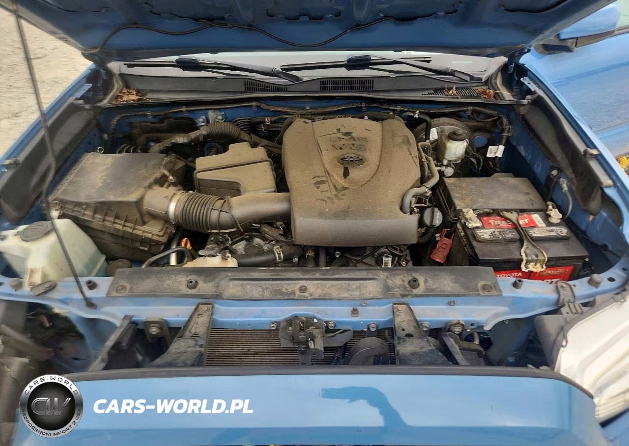 2019 Toyota Tacoma Sr5 V6 VIN:5TFCZ5AN2KX204349 - 11