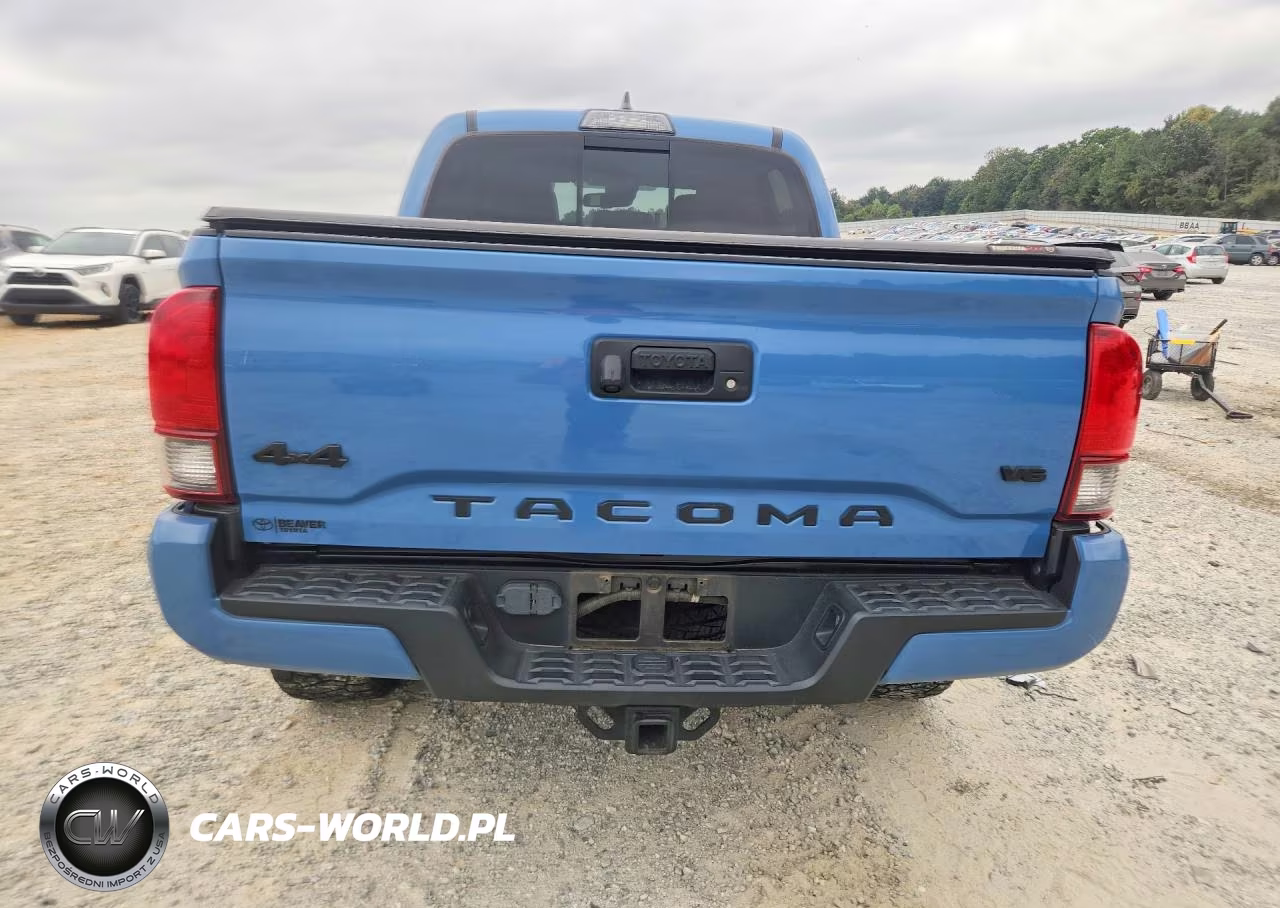 2019 Toyota Tacoma Sr5 V6 VIN:5TFCZ5AN2KX204349 - 6