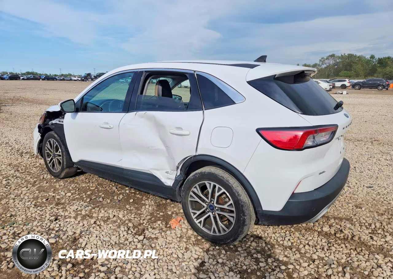 2022 Ford Escape Sel VIN:1FMCU0H64NUA18040 - 2