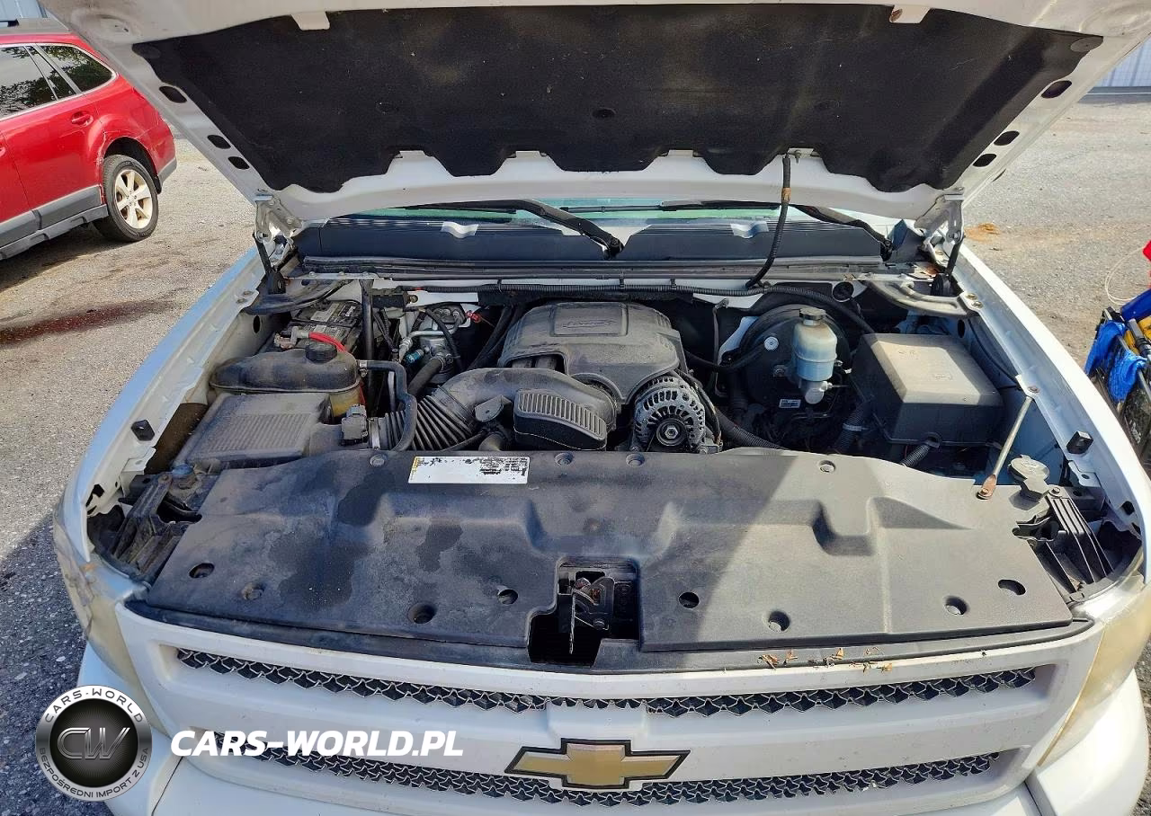 2009 Chevrolet Silverado K1500 Lt VIN:1GCEK29049Z289715 - 11