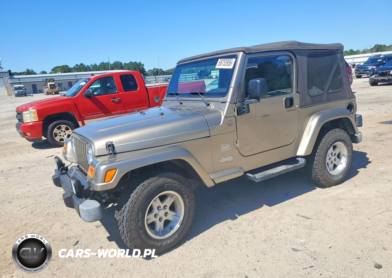 2004 Jeep Wrangler - Tj Sahara VIN:1J4FA59S44P768225 - 1