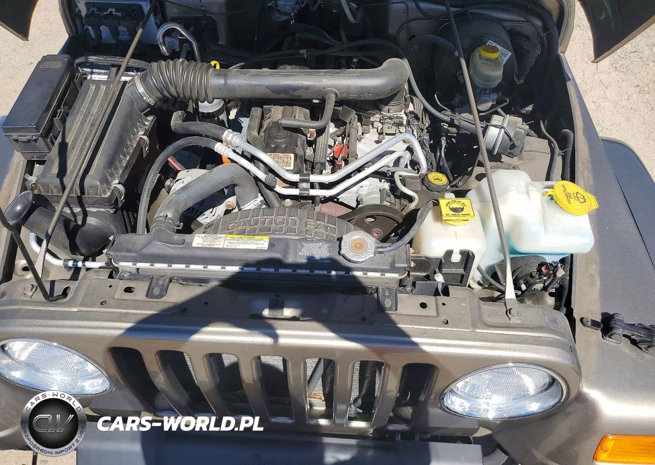 2004 Jeep Wrangler - Tj Sahara VIN:1J4FA59S44P768225 - 12