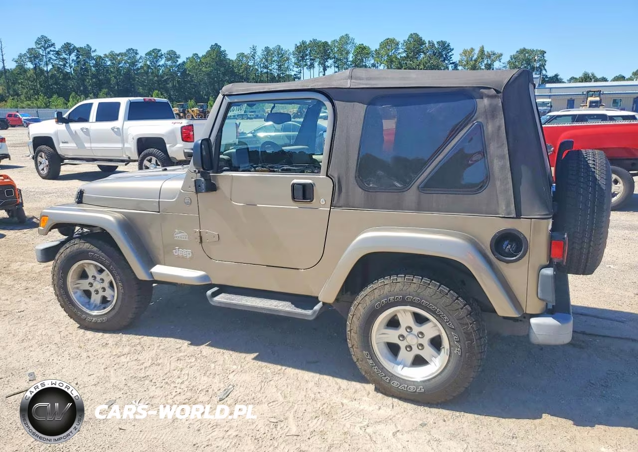 2004 Jeep Wrangler - Tj Sahara VIN:1J4FA59S44P768225 - 2