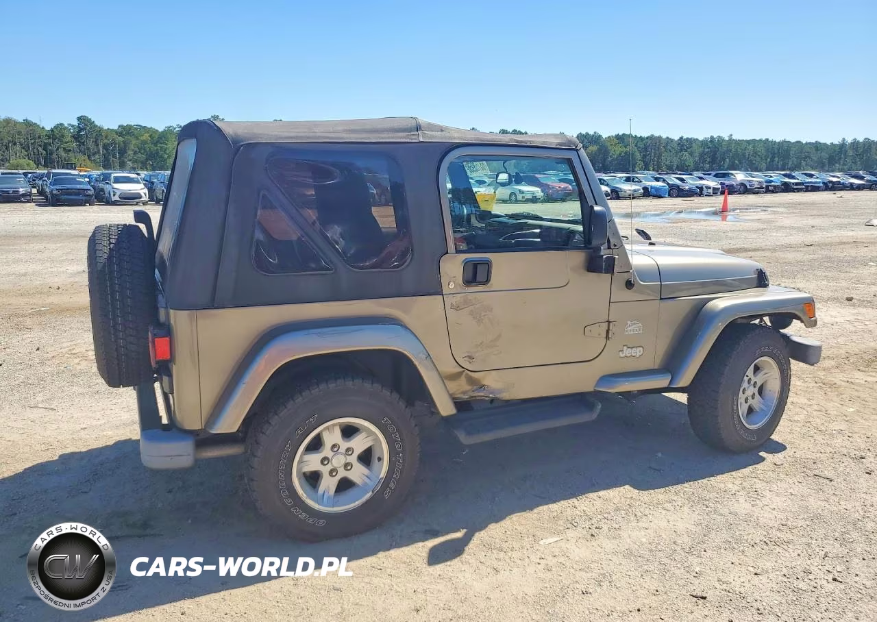 2004 Jeep Wrangler - Tj Sahara VIN:1J4FA59S44P768225 - 3