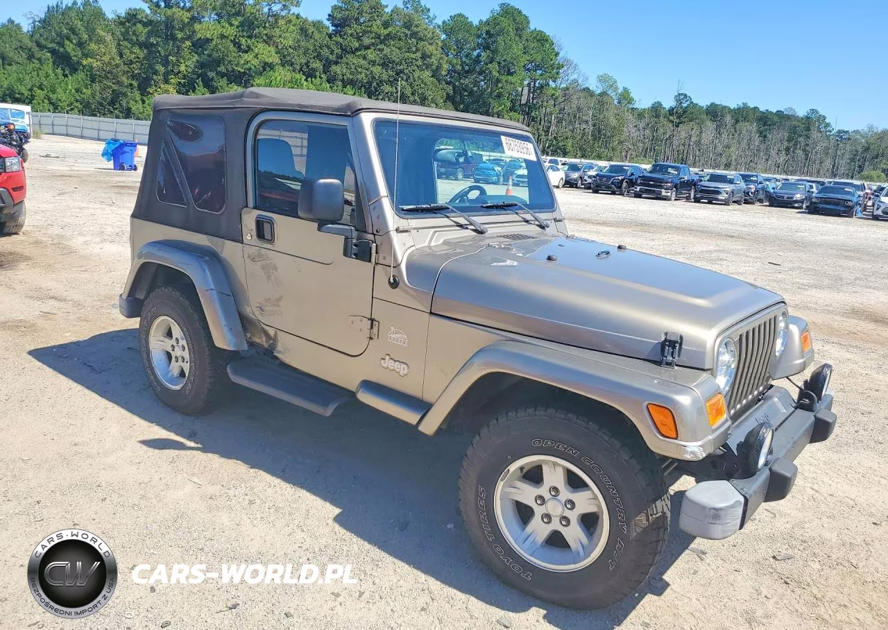 2004 Jeep Wrangler - Tj Sahara VIN:1J4FA59S44P768225 - 4