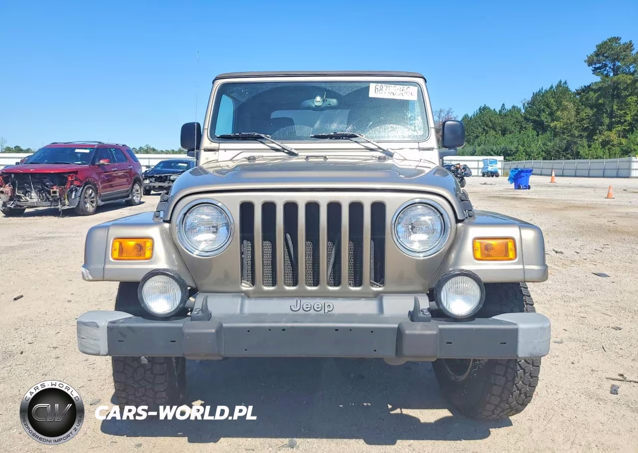 2004 Jeep Wrangler - Tj Sahara VIN:1J4FA59S44P768225 - 5
