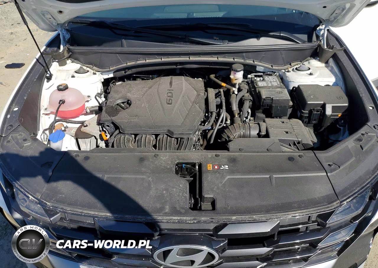 2025 Hyundai Tucson Sel VIN:5NMJB3DE2SH559543 - 12