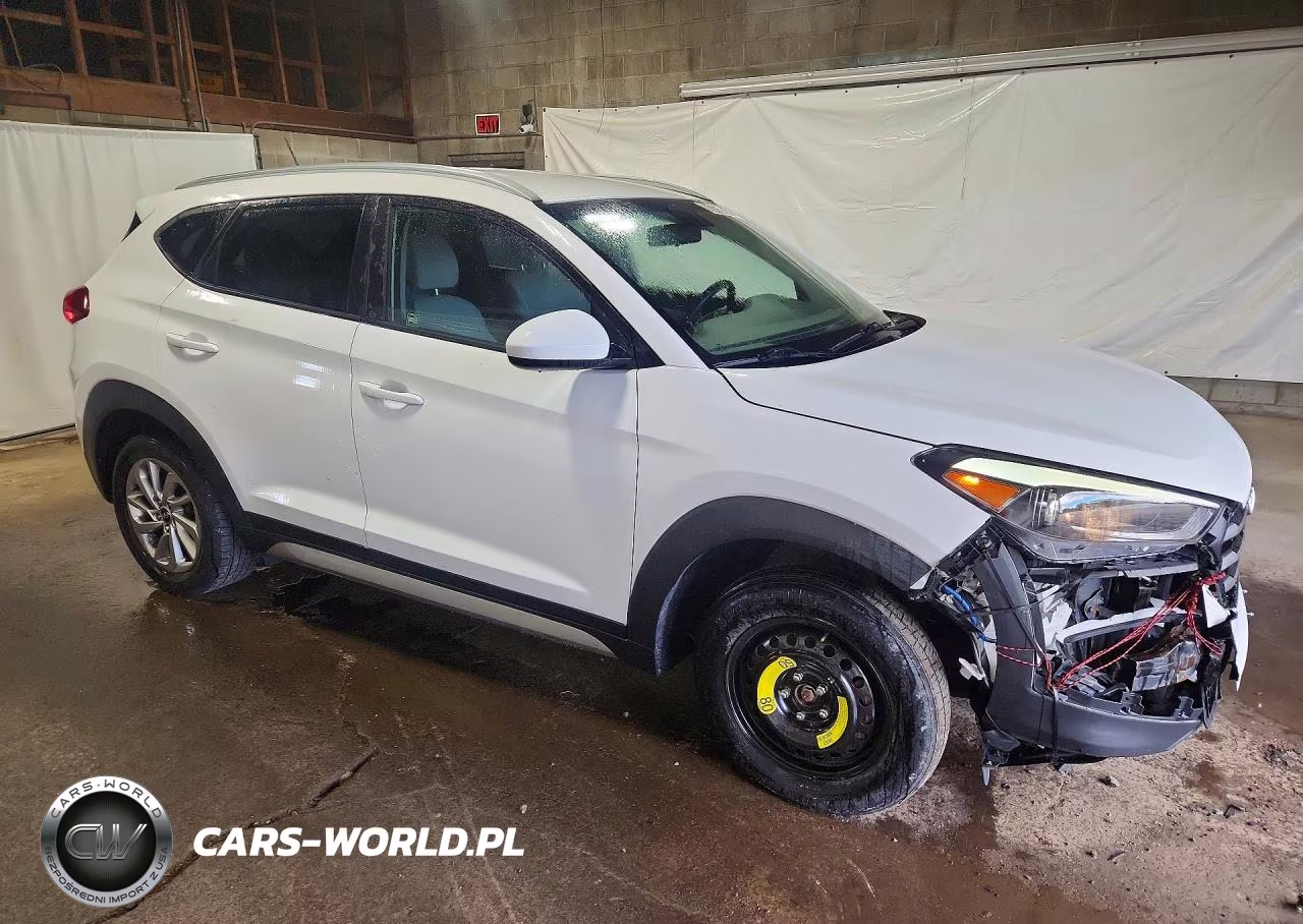 2017 Hyundai Tucson Se VIN:KM8J3CA40HU289699 - 4