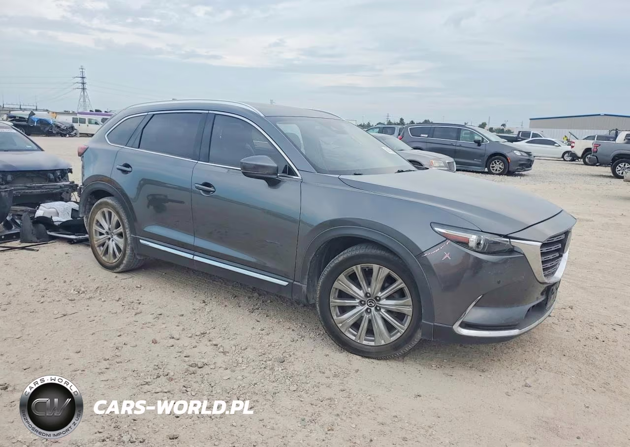 2021 Mazda Cx-9 Signature VIN:JM3TCBEY6M0537922 - 4