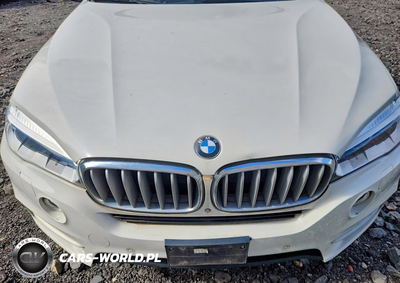 2015 BMW X5 xDrive50I VIN:5UXKR6C59F0J78490 - 12