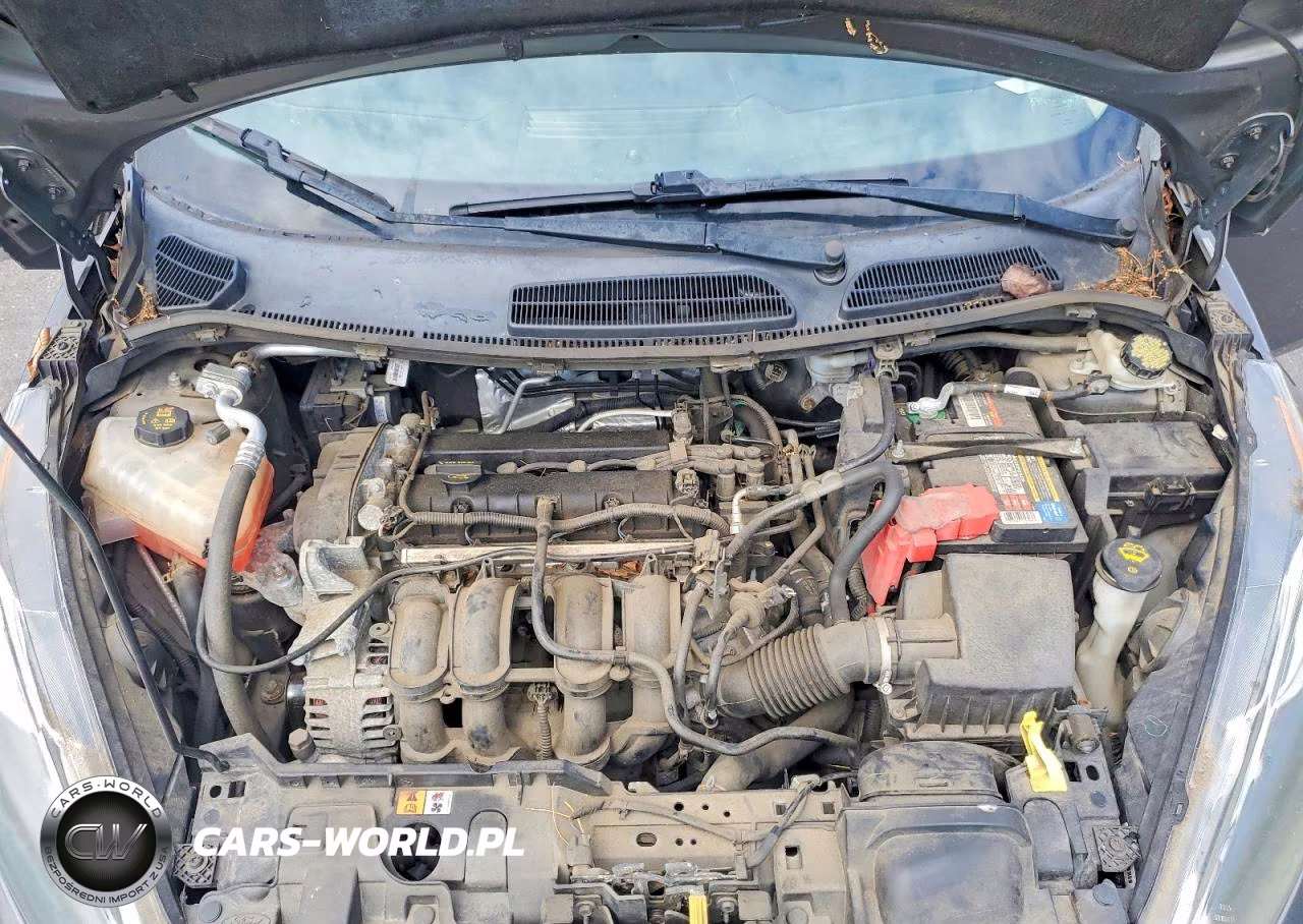 2016 Ford Fiesta Se VIN:3FADP4BJXGM148180 - 11