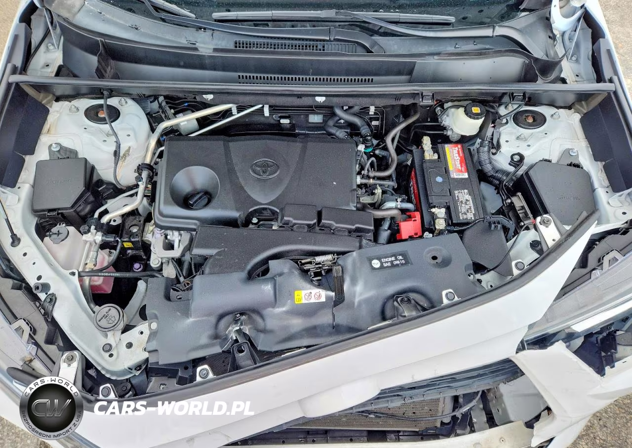 2019 Toyota Rav4 Xle VIN:2T3P1RFV3KW036864 - 12