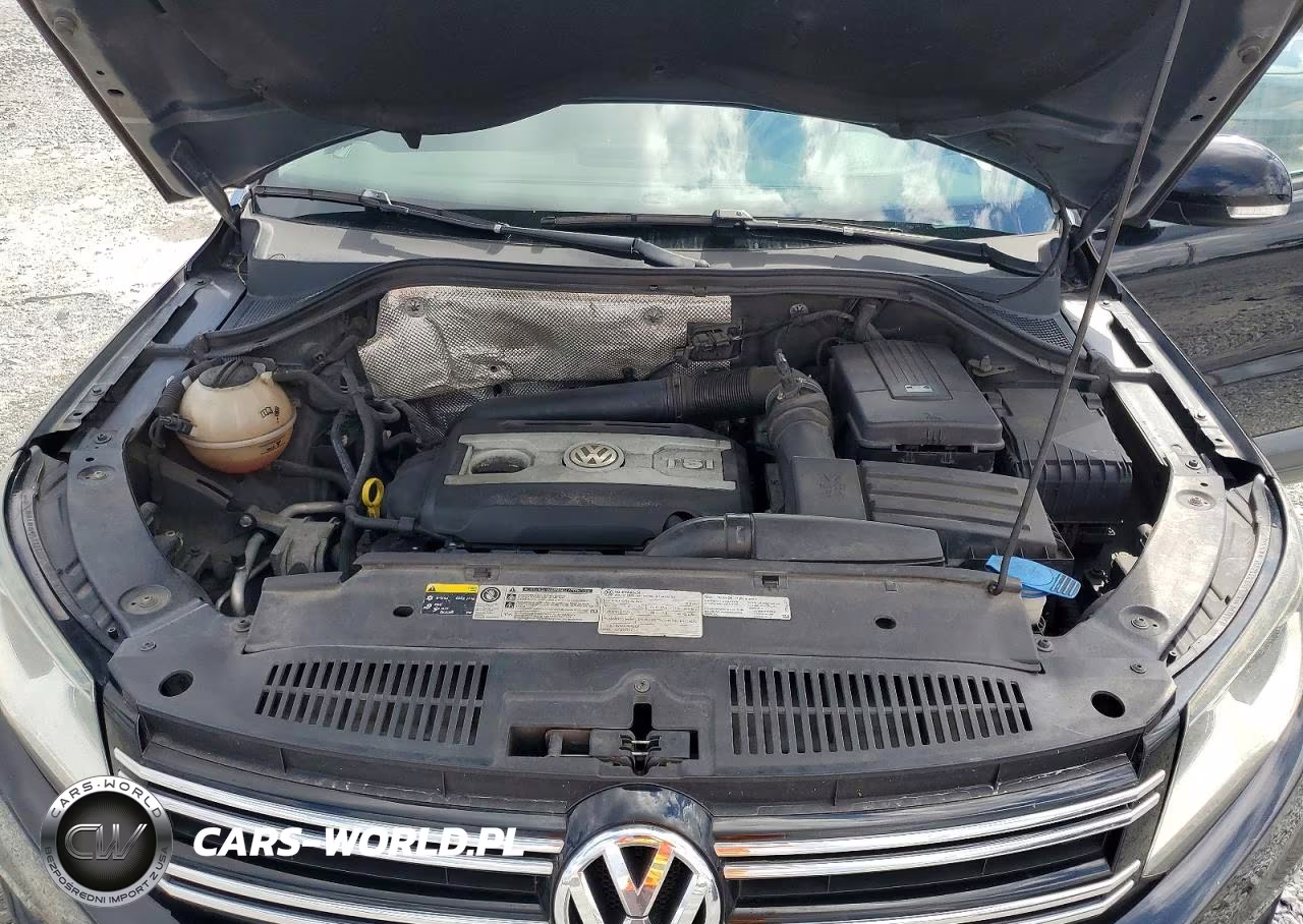 2014 Volkswagen Tiguan S VIN:WVGAV3AX0EW548003 - 12