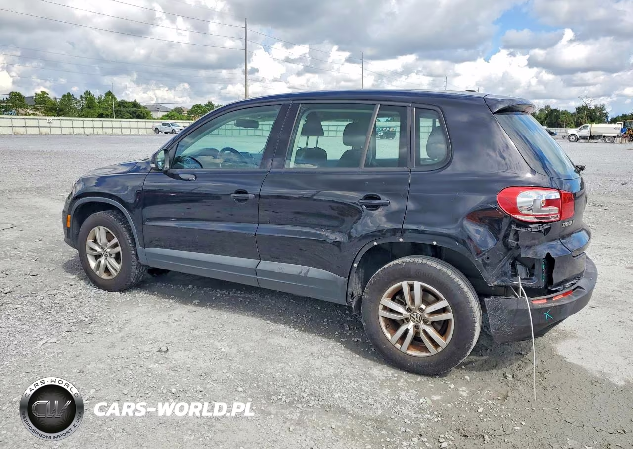 2014 Volkswagen Tiguan S VIN:WVGAV3AX0EW548003 - 2