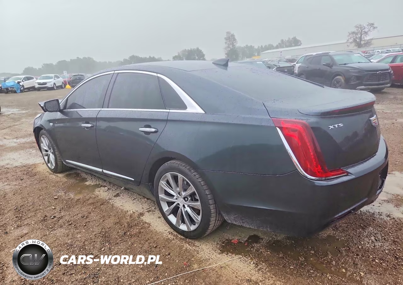 2019 Cadillac Xts VIN:2G61L5S36K9160122 - 2