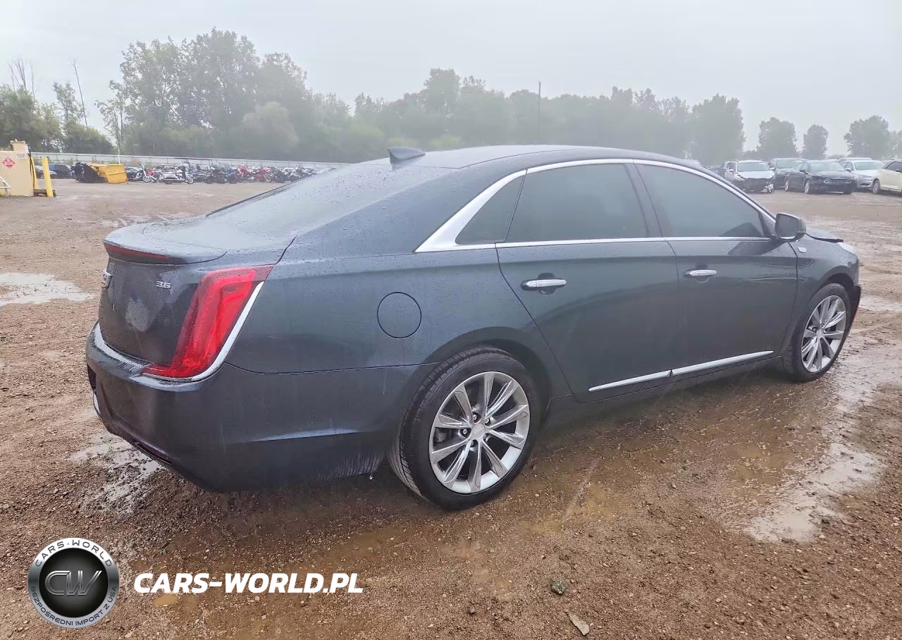 2019 Cadillac Xts VIN:2G61L5S36K9160122 - 3