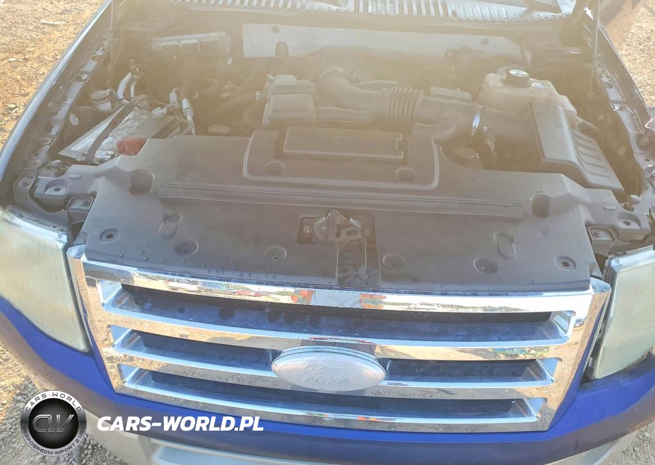 2008 Ford Expedition Eddie Bauer VIN:1FMFU17548LA86375 - 12