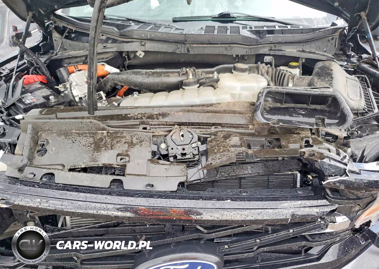 2024 Ford F150 Xlt VIN:1FTFW3LD4RFA48202 - 11