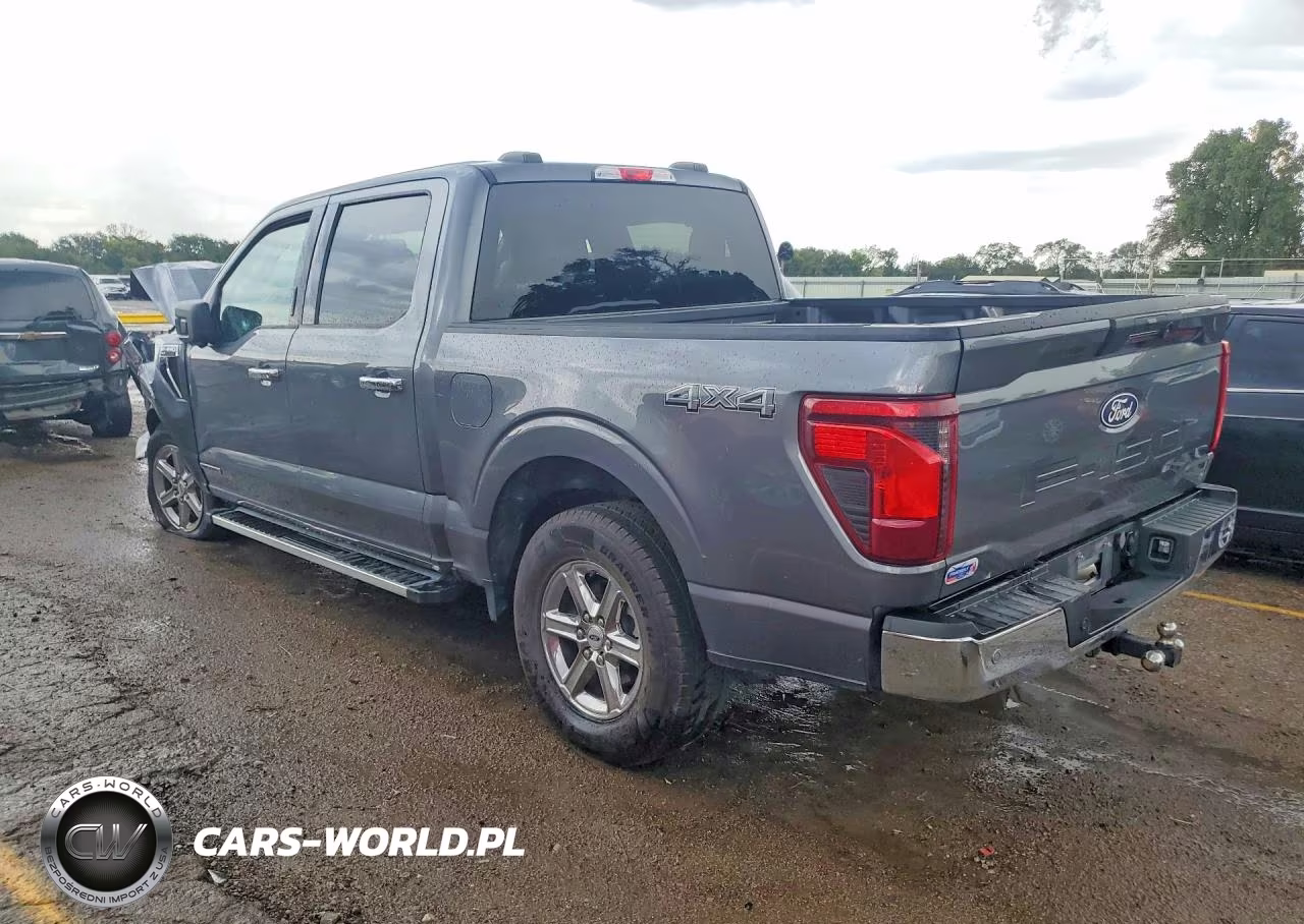 2024 Ford F150 Xlt VIN:1FTFW3LD4RFA48202 - 2