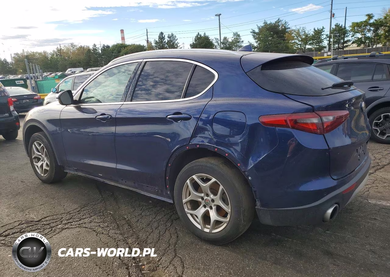 2020 Alfa Romeo Stelvio VIN:ZASPAJAN5L7C92677 - 2