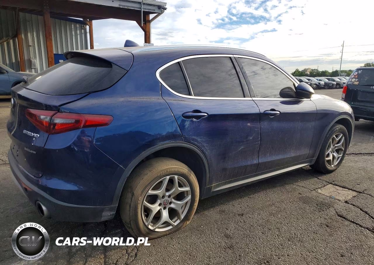 2020 Alfa Romeo Stelvio VIN:ZASPAJAN5L7C92677 - 3