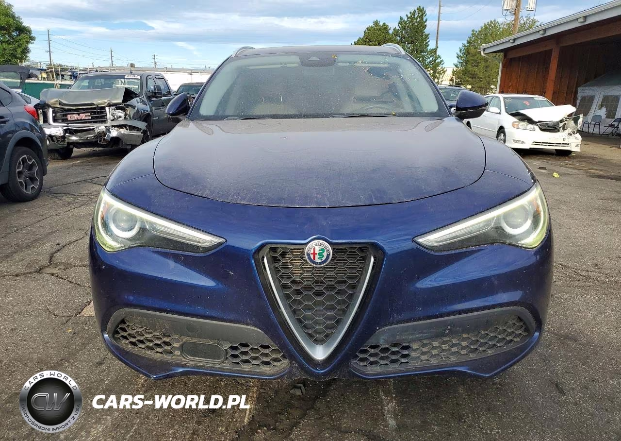 2020 Alfa Romeo Stelvio VIN:ZASPAJAN5L7C92677 - 5