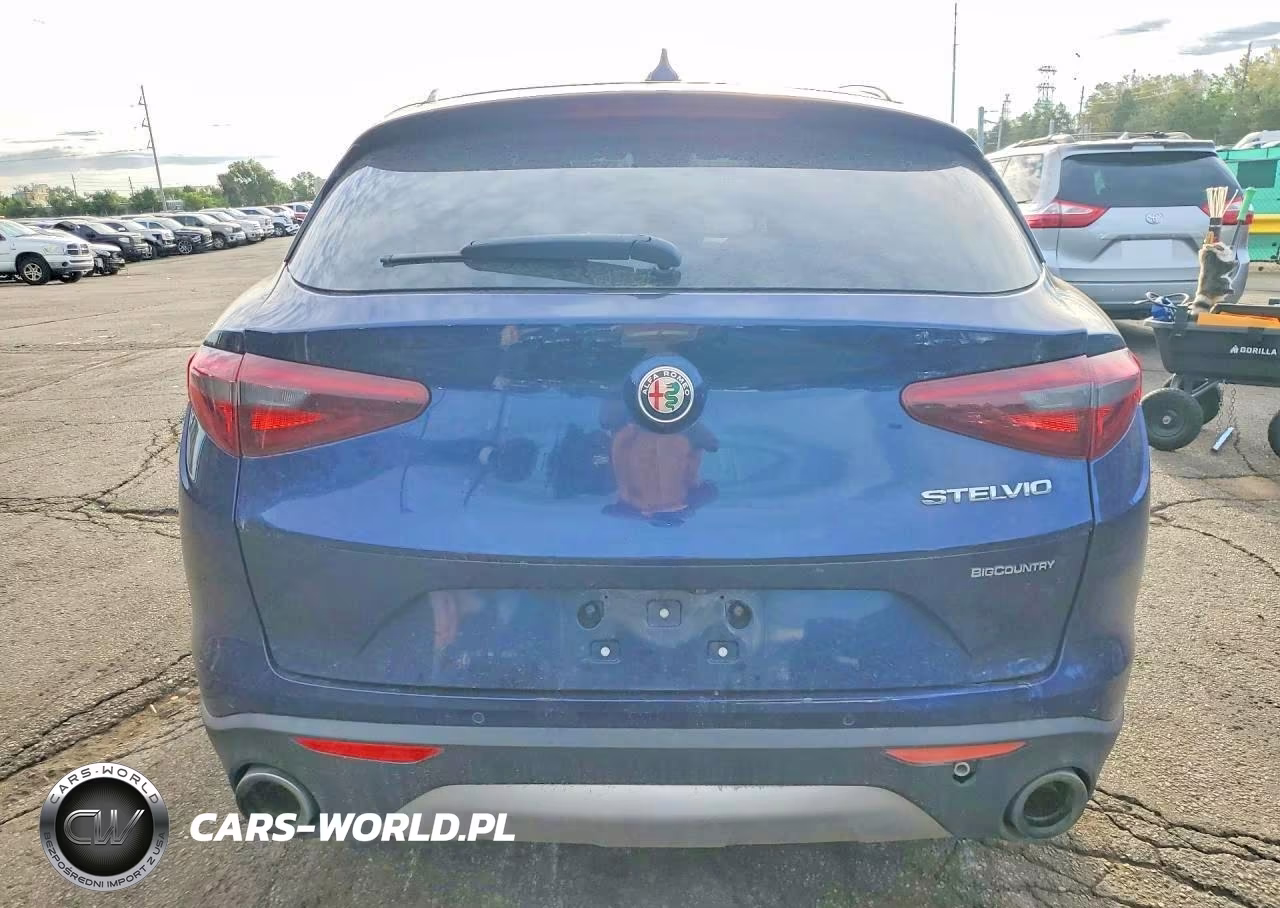 2020 Alfa Romeo Stelvio VIN:ZASPAJAN5L7C92677 - 6