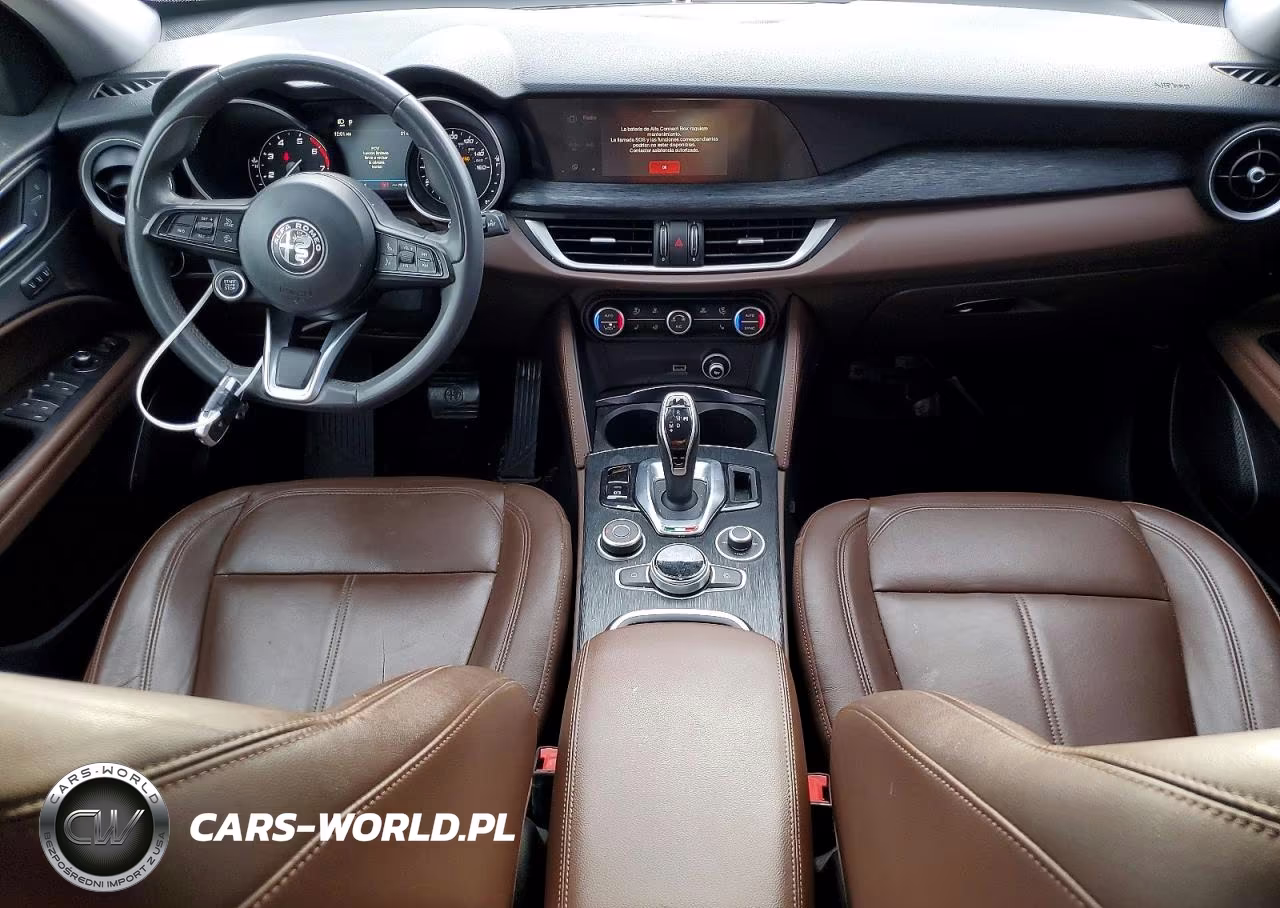 2020 Alfa Romeo Stelvio VIN:ZASPAJAN5L7C92677 - 8