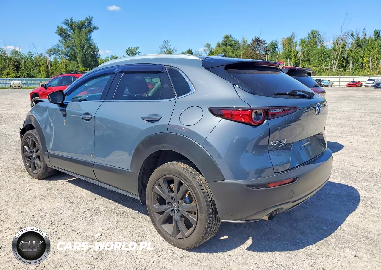 2021 Mazda Cx-30 Premium VIN:3MVDMBDY2MM303879 - 2
