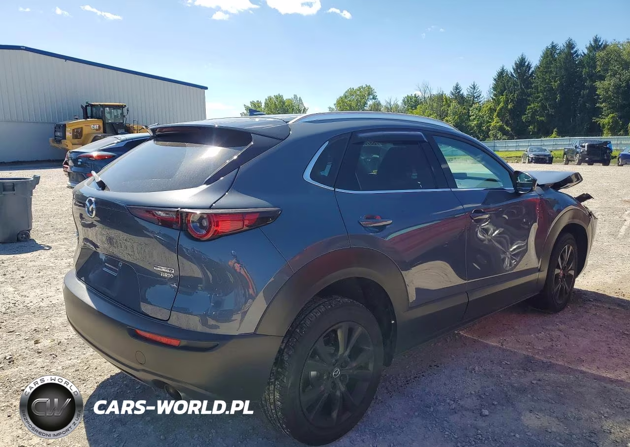 2021 Mazda Cx-30 Premium VIN:3MVDMBDY2MM303879 - 3