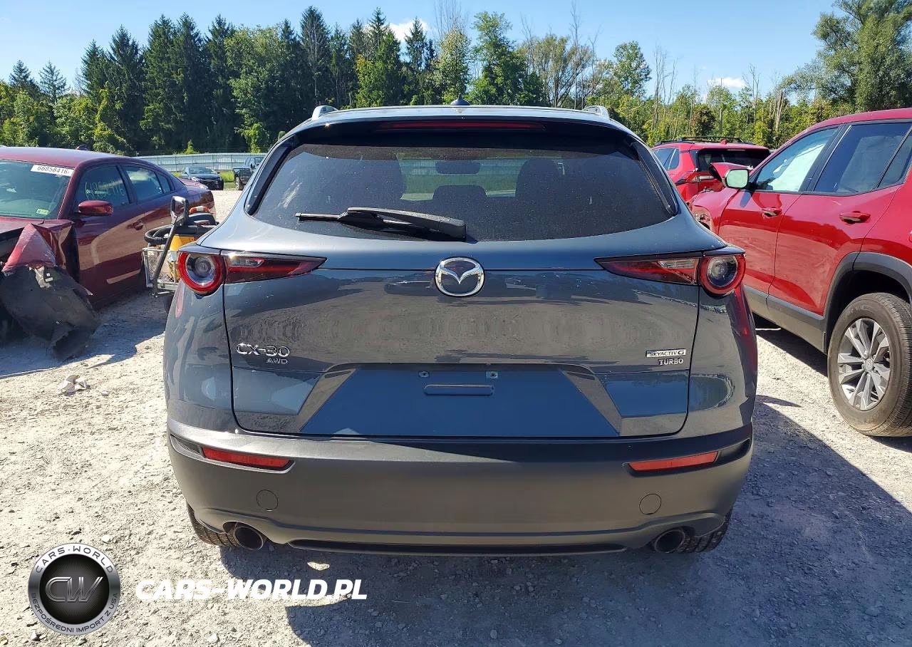 2021 Mazda Cx-30 Premium VIN:3MVDMBDY2MM303879 - 6