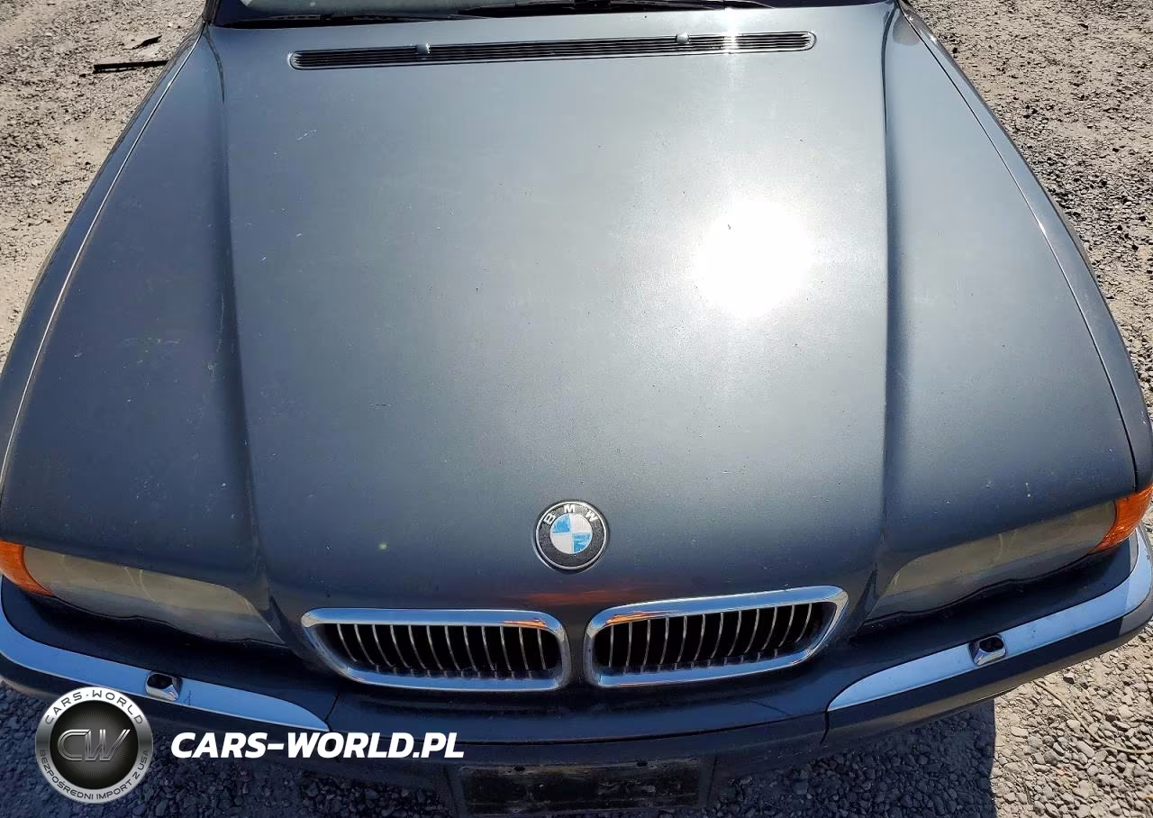 2000 BMW 740 Il VIN:WBAGH8342YDP08501 - 11