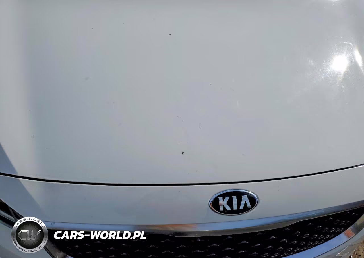 2017 Kia Sedona Lx VIN:KNDMB5C16H6334569 - 12