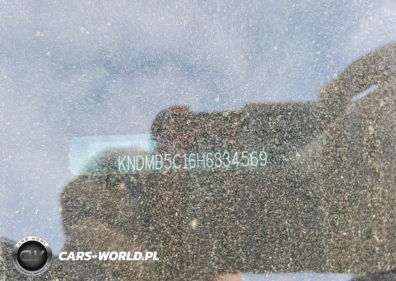 2017 Kia Sedona Lx VIN:KNDMB5C16H6334569 - 13