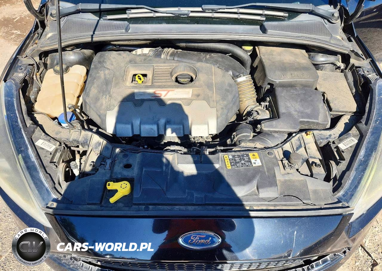2017 Ford Focus St VIN:1FADP3L91HL251005 - 11