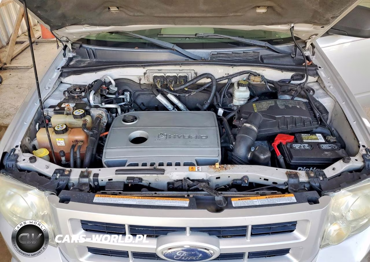 2009 Ford Escape Hybrid VIN:1FMCU59379KA79336 - 12