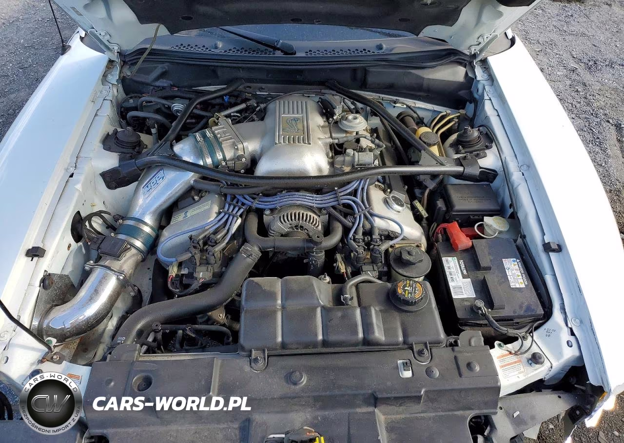 1997 Ford Mustang Cobra VIN:1FALP46VXVF144328 - 11