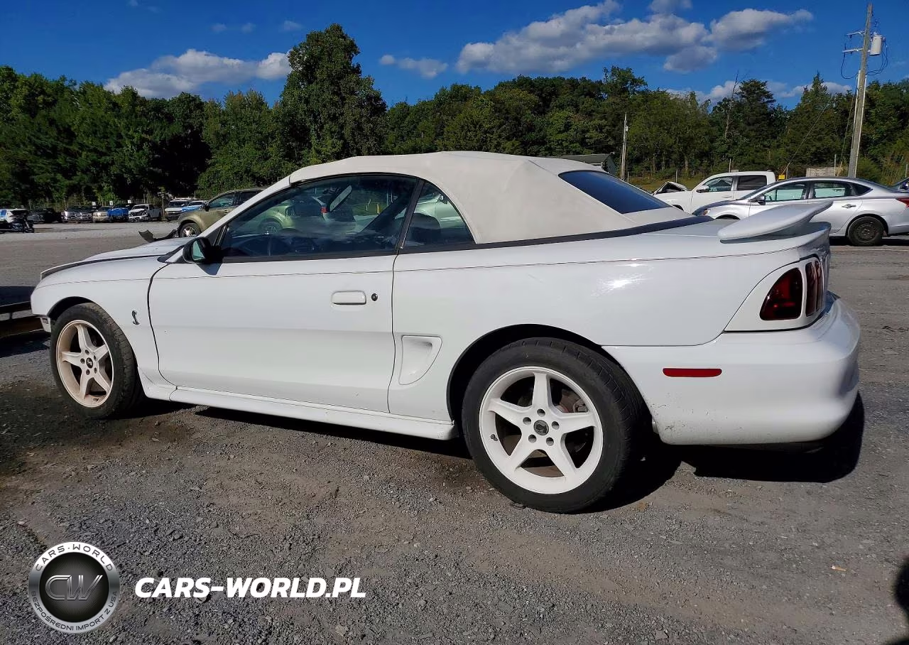 1997 Ford Mustang Cobra VIN:1FALP46VXVF144328 - 2